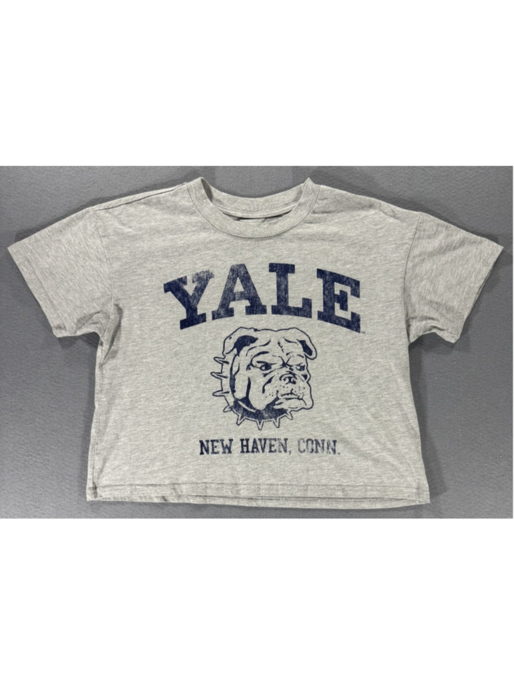 Yale University Bulldogs Cropped T Shirt Womens Medium Grey Distressed VTG Look